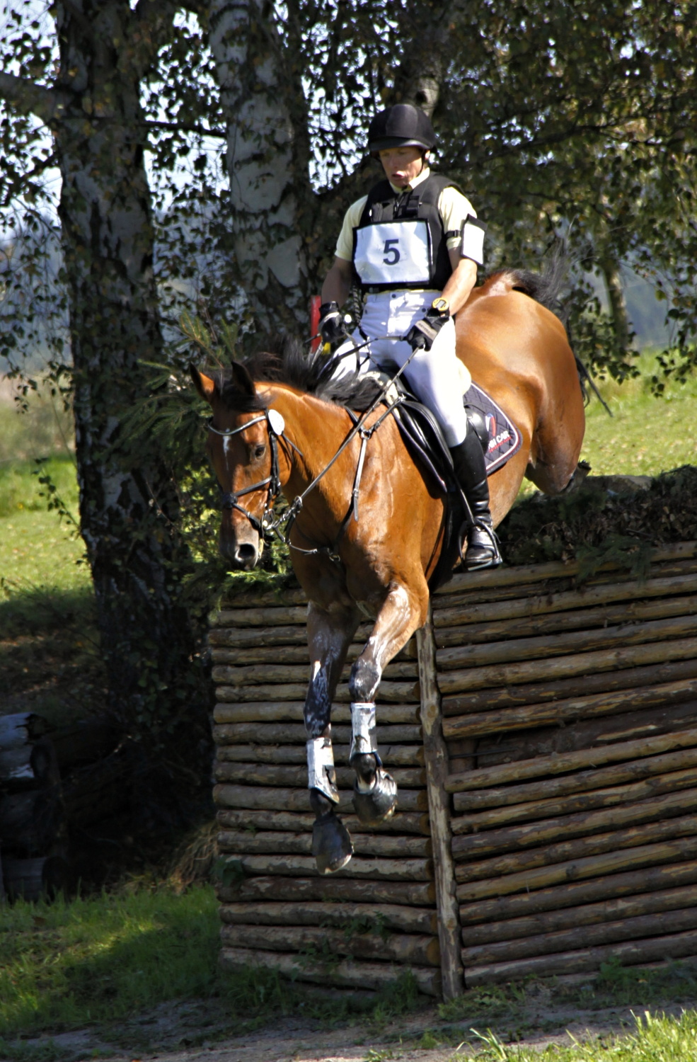 Mistři ČR ve všestrannosti seniorů 2014, Rodeo au Heup a Robert Pokorný z Jezdeckého klubu NH Car  Foto Jiří a Šárka Bělohlavovi