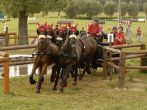 Finále ZP 2016 foto J. Bělohlav