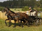 Dvojsprezi-Coufalin-Vaclav-LINDA-36-LYBIE-Foto-Belohlav-Jiri